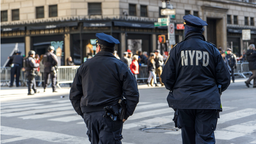 livestream final.mp4