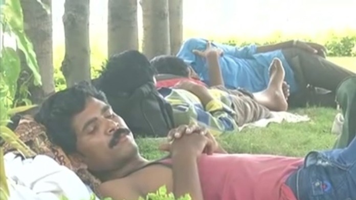 Horúčavy pripravili o život už takmer 800 ľudí