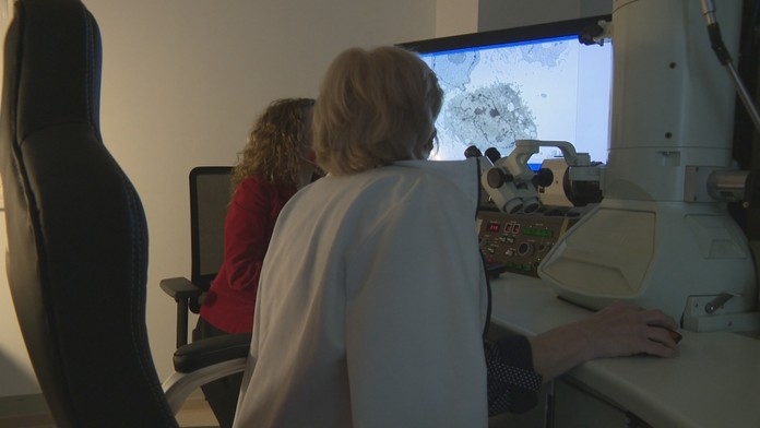 Marta Nováková roky skúma srdcové bunky, s vírusom ale pracovala prvýkrát.