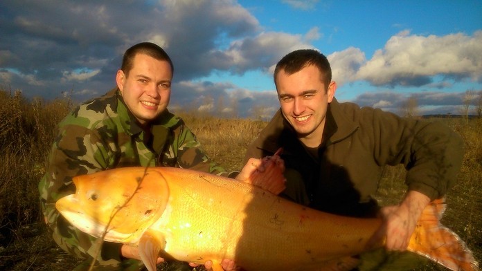 Tolstolobik zo Zelenej vody.