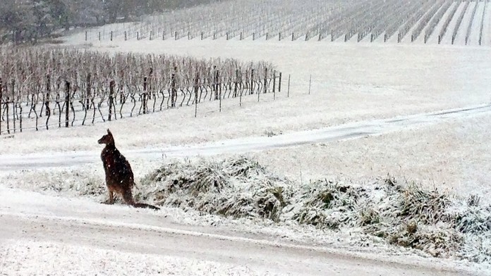 Zimná snehová búrka zapríčinila na austrálskom juhovýchodnom pobreží chaos