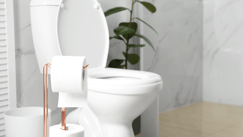 Enrique Iglesias.jpg