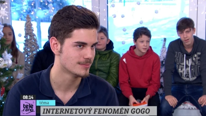 gogoweb_jpg_bez_watermarku_1.jpg