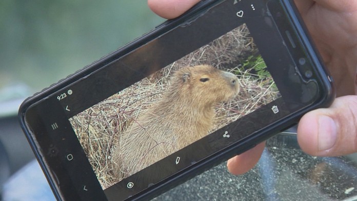 19_danilov_prvak_tvnoviny.mp4