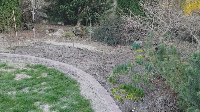 diviaky_tvnoviny.1.mp4