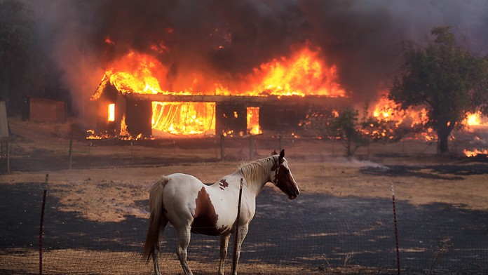 Boj hasičov s lesným požiarom v Kalifornii 