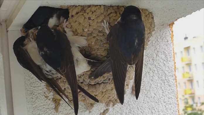 Ilustračná snímka.