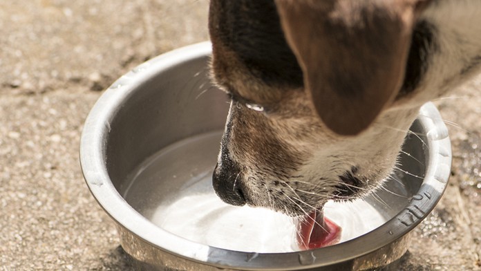 Ilustračná snímka.