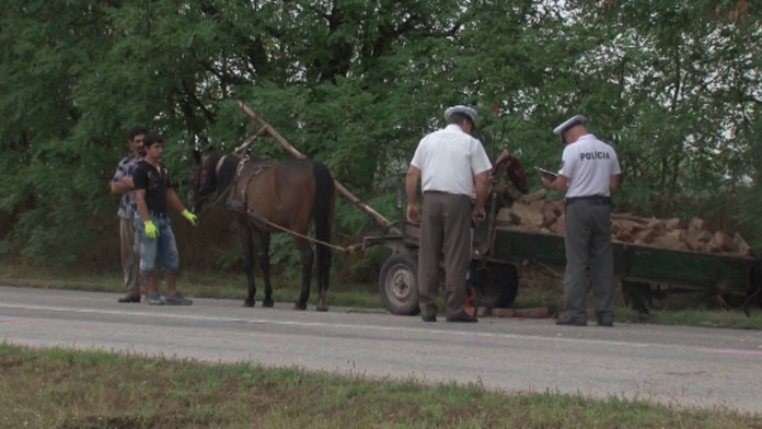 Kobyla bola po nehode v šoku a hodinu sa ani nepohla