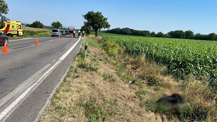 Nález tela pri Nových Zámkoch. Muž ležal v priekope niekoľko dní