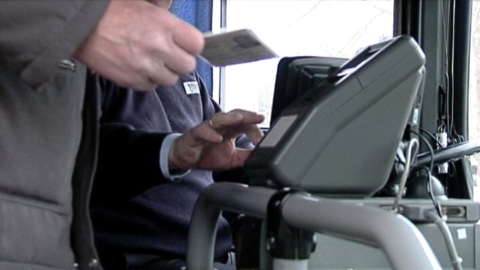 Žltačka v Leviciach vyčíňa aj naďalej