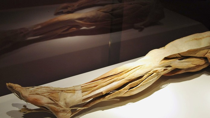 Ilustračná snímka