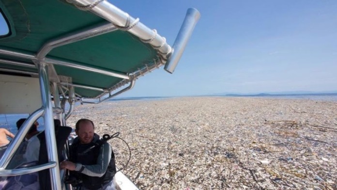 Markéta Konvičková