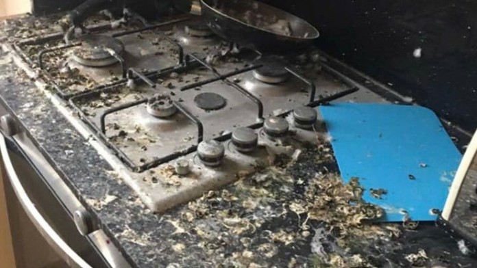 Študentovi zničili izbu holuby