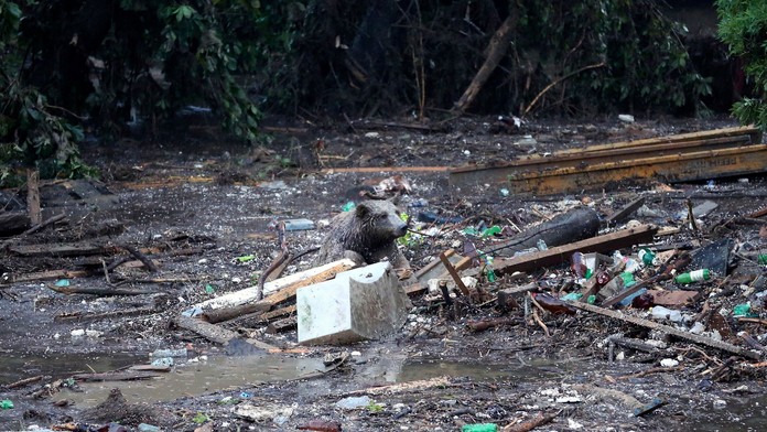 ZOO prišla o viacero zvierat