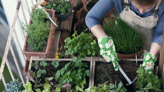 Ilustračná snímka.