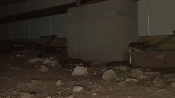 Tajné kamery v hoteloch v Južnej Kórei