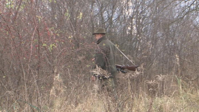 Diviaky v Prievidzi.