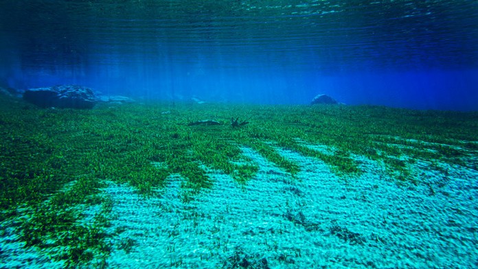 Najčistejšie jazero na svete Blue lake.