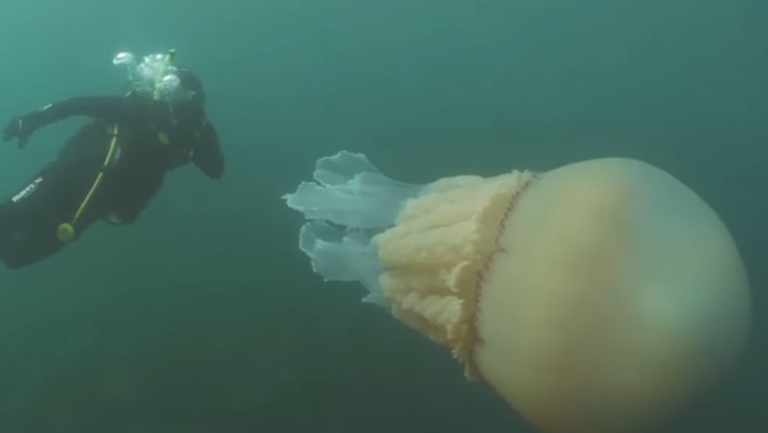 1karluvmost-s-logem-190716_x264.mp4