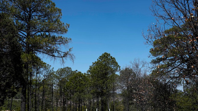 Ilustračná snímka.