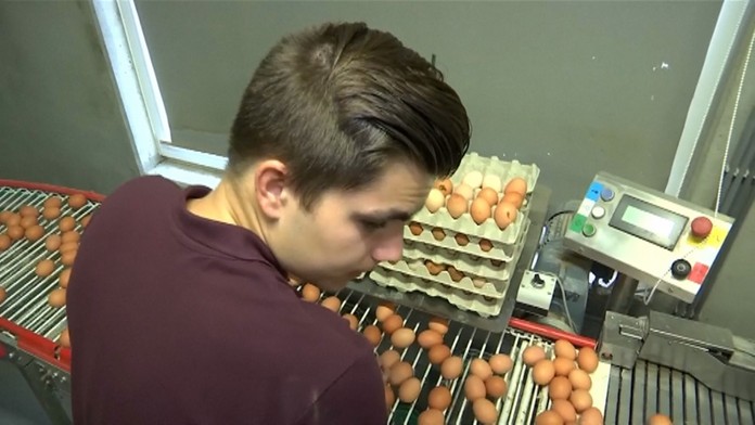 Škandál s nebezpečným pesticídom fipronilom naberá stále väčšie a väčšie rozmery.