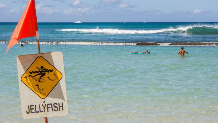 Ilustračná snímka.