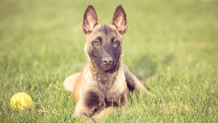 Ilustračná snímka. 