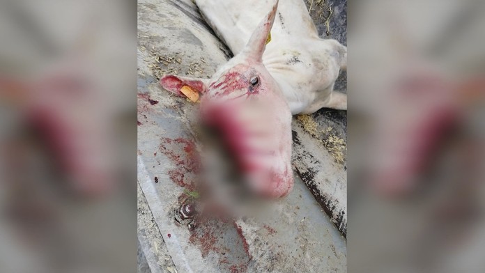 Ilustračná snímka.