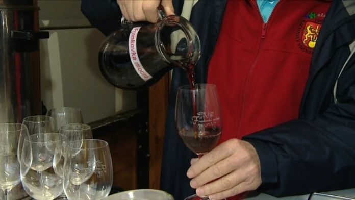 vinoweb_jpg_bez_watermarku_1.jpg