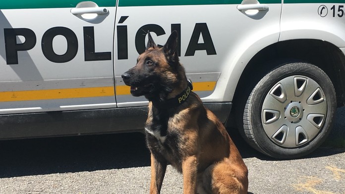 Policajný pes Nyko.
