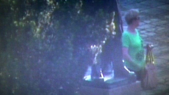 19 PD Kradla kvety.transferweb_jpg_bez_watermarku_1.jpg