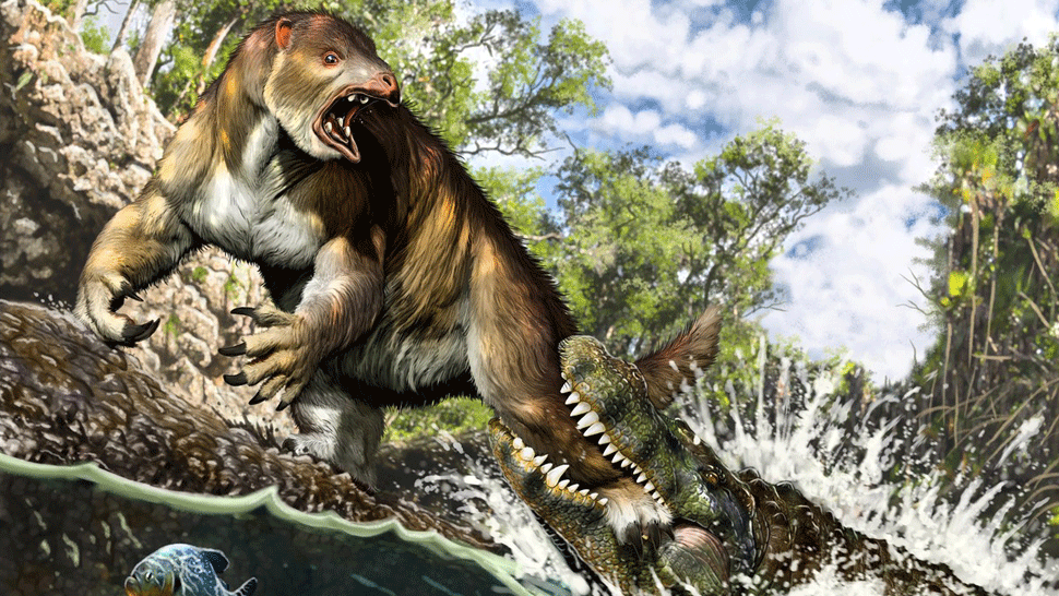 V oblasti Pebas žilo niekoľko druhov prehistorických krokodílov