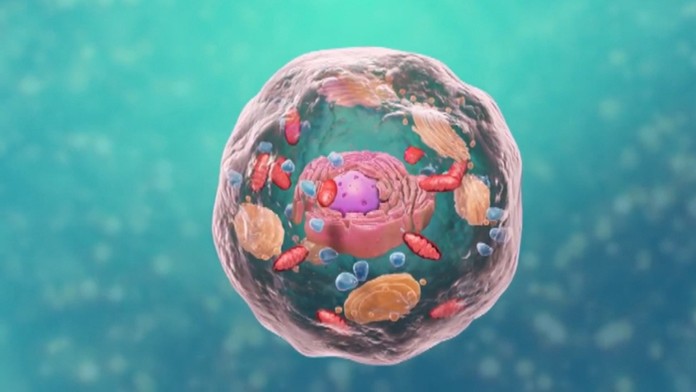 Ilustračná snímka.