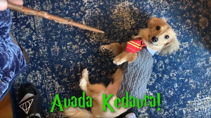 autoskola kolenik maskovanie rasta_komplet.mp4