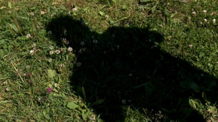 Svedok v kauze údajného obchodu so zbraňami.