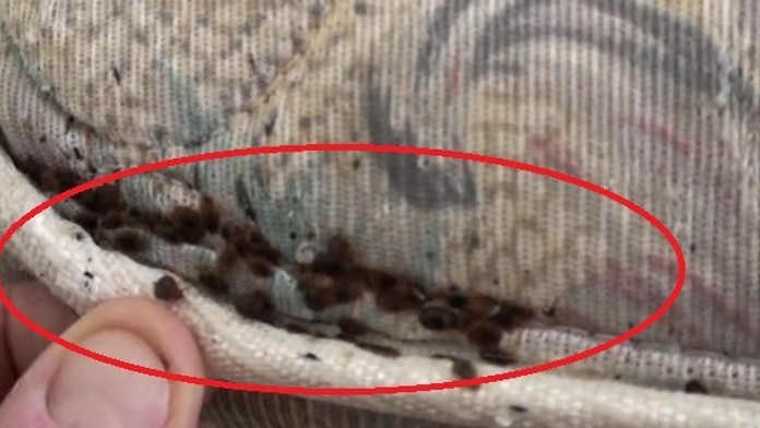 17 PN Plostice v cinzaku.transferweb_jpg_bez_watermarku_1.jpg