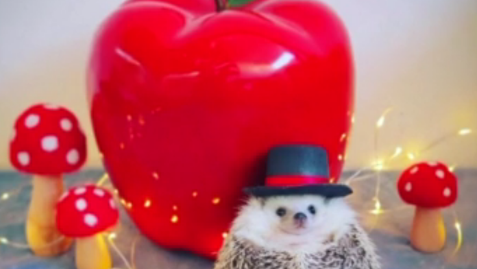 Ilustračná snímka.