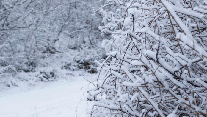 El Niño sa vracia. Ovplyvní počasie na niekoľko mesiacov, meteorológovia prezradili ako