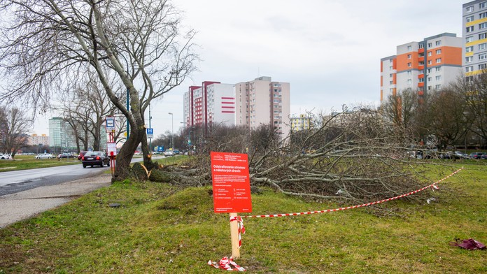 Začali stavať dva dôležité mosty na novej električkovej trati v Petržalke