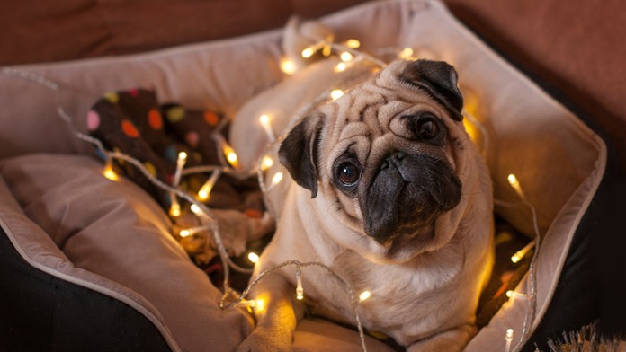 Alena Zsuzsová opúšťa väznicu v Leopoldove.