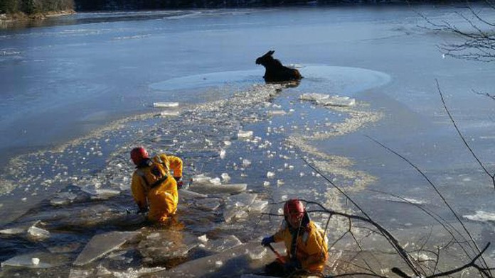 Losica uprostred zamrznutého jazera.