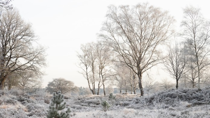 Čakajú nás biele Vianoce či upršaný december? Prinášame vám predpoveď počasia