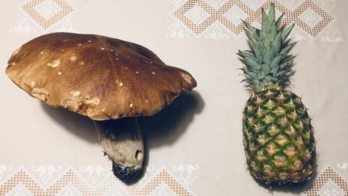 Autorka a krstný otec knihy.