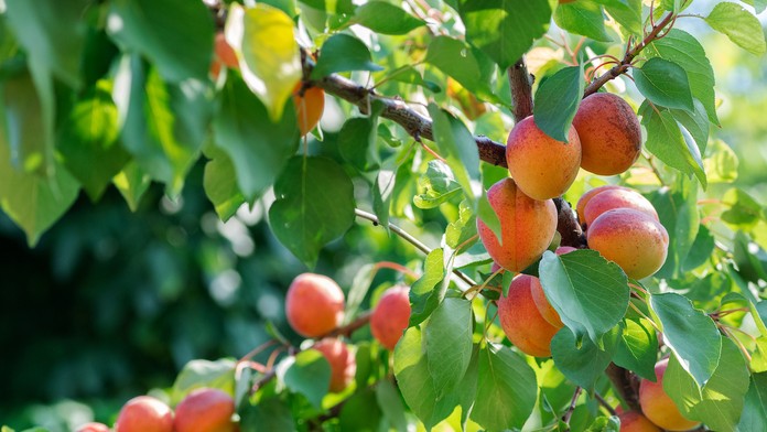 V centre Glasgowa vyčíňal útočník s nožom.jpg