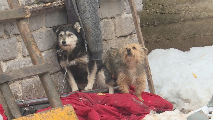 Ilustračná snímka.