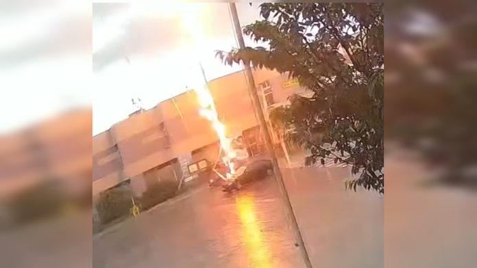 Strom po zásahu bleskom v meste Šaštín-Stráže zhorel.