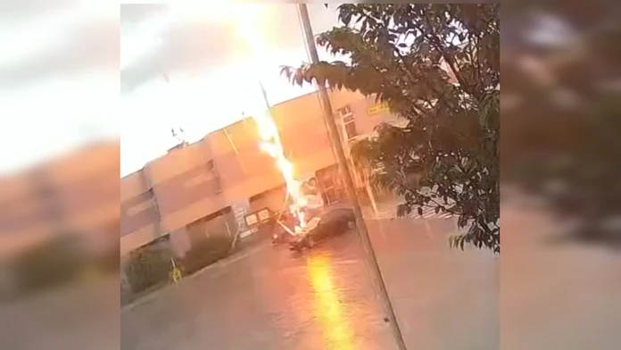 Strom po zásahu bleskom v meste Šaštín-Stráže zhorel.