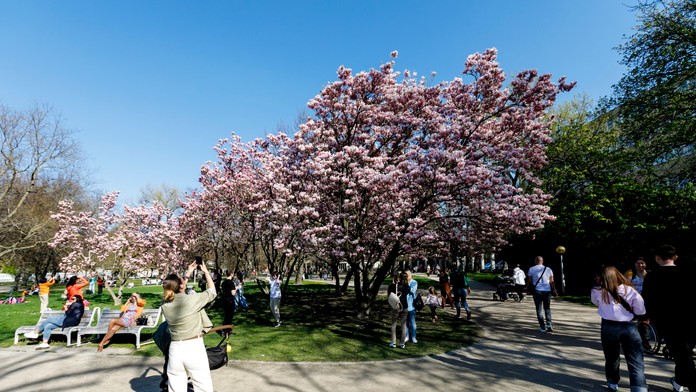 Slováci sa dočkali. Teploty budú atakovať 20 °C, experti varujú pred možným zvratom