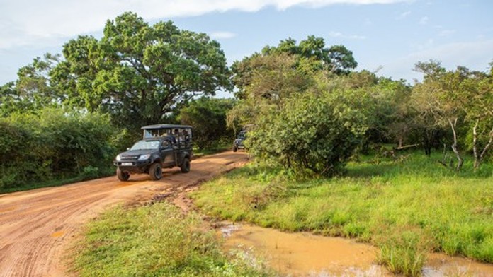 Hrozivá smrť Slováka na Srí Lanke. Život mu vzal rútiaci sa džíp
